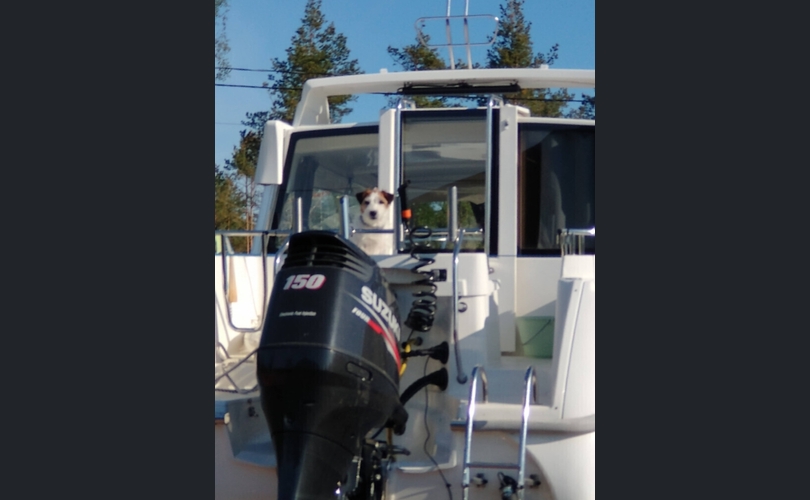 MV-Marin 6600 Fc-kuva-4